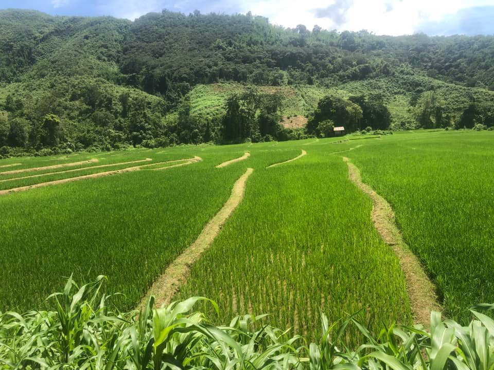 9 Days Vientiane Cycling to Luang Prabang